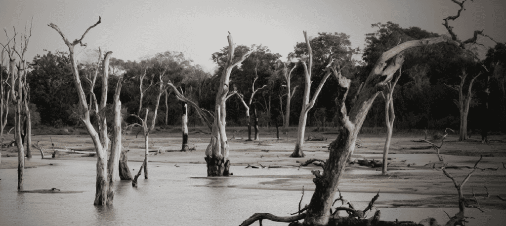 What Flood Insurance Covers flood insurance guide