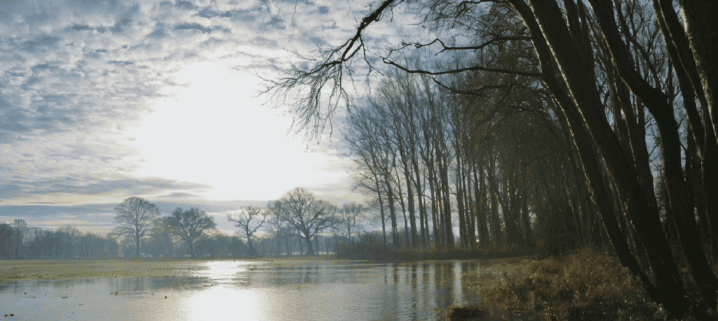 Do I Need Flood Insurance? flood insurance guide
